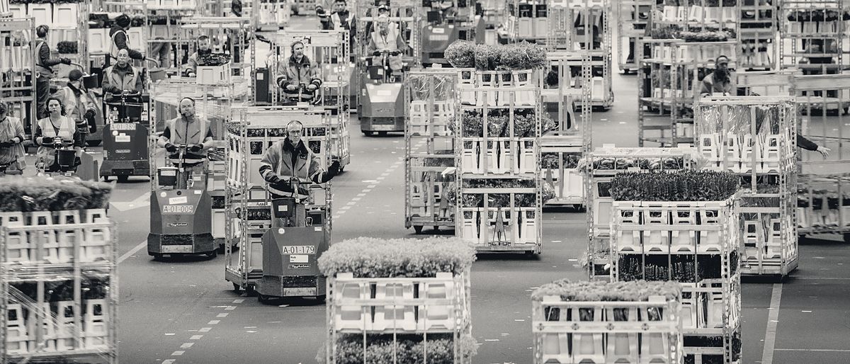 Logistieke hal vol karren, met tientallen medewerkers aan het werk