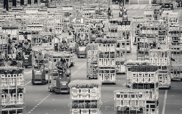 Logistieke hal vol karren, met tientallen medewerkers aan het werk